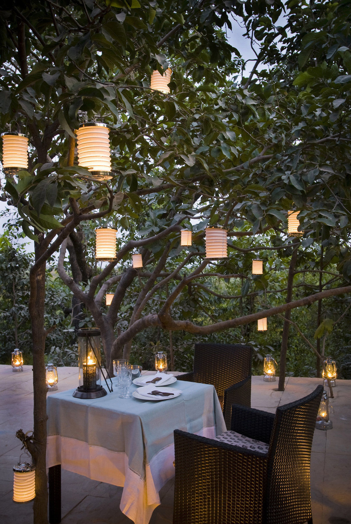 Pashan Garh Panna Restoran fotoğraf
